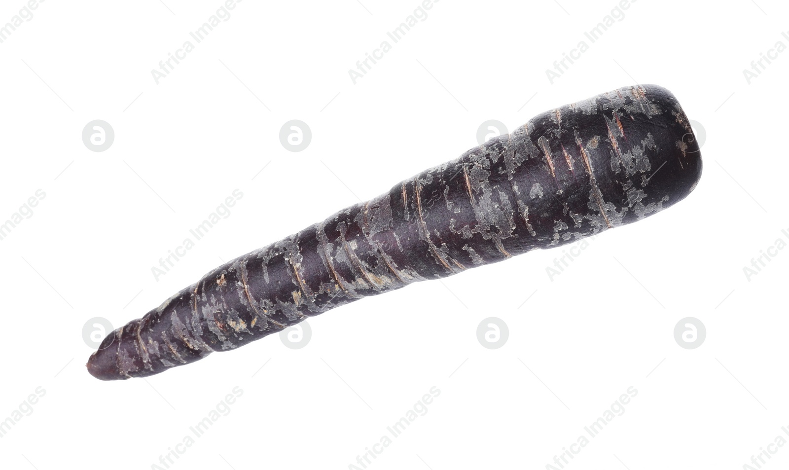 Photo of Fresh raw black carrot isolated on white