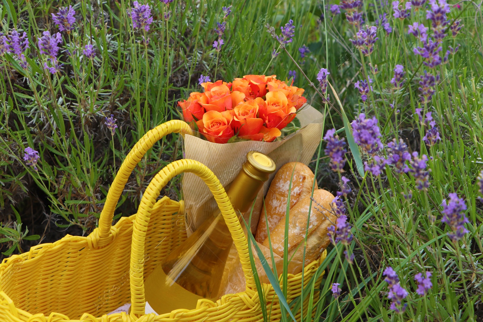 Photo of Yellow wicker bag with beautiful roses, bottle of wine and baguettes in lavender field