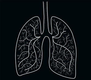 Illustration of  human lungs on black background