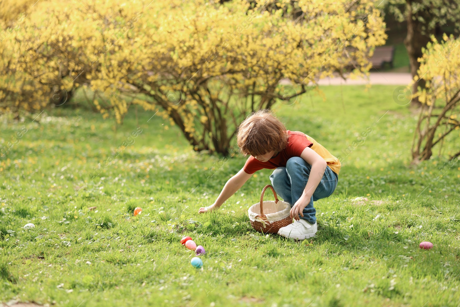 Photo of Easter celebration. Little boy hunting eggs outdoors