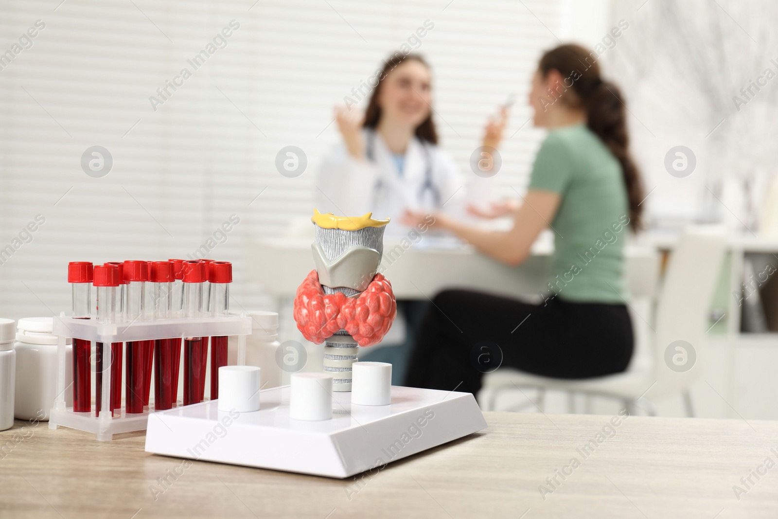 Photo of Endocrinologist examining patient at clinic, focus on model of thyroid gland and blood samples in test tubes