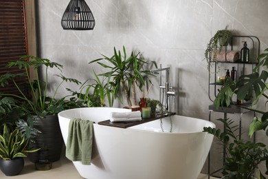 Modern white tub and beautiful green houseplants in bathroom. Interior design