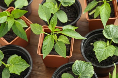 Different seedlings growing in plastic containers with soil on wooden table, above view