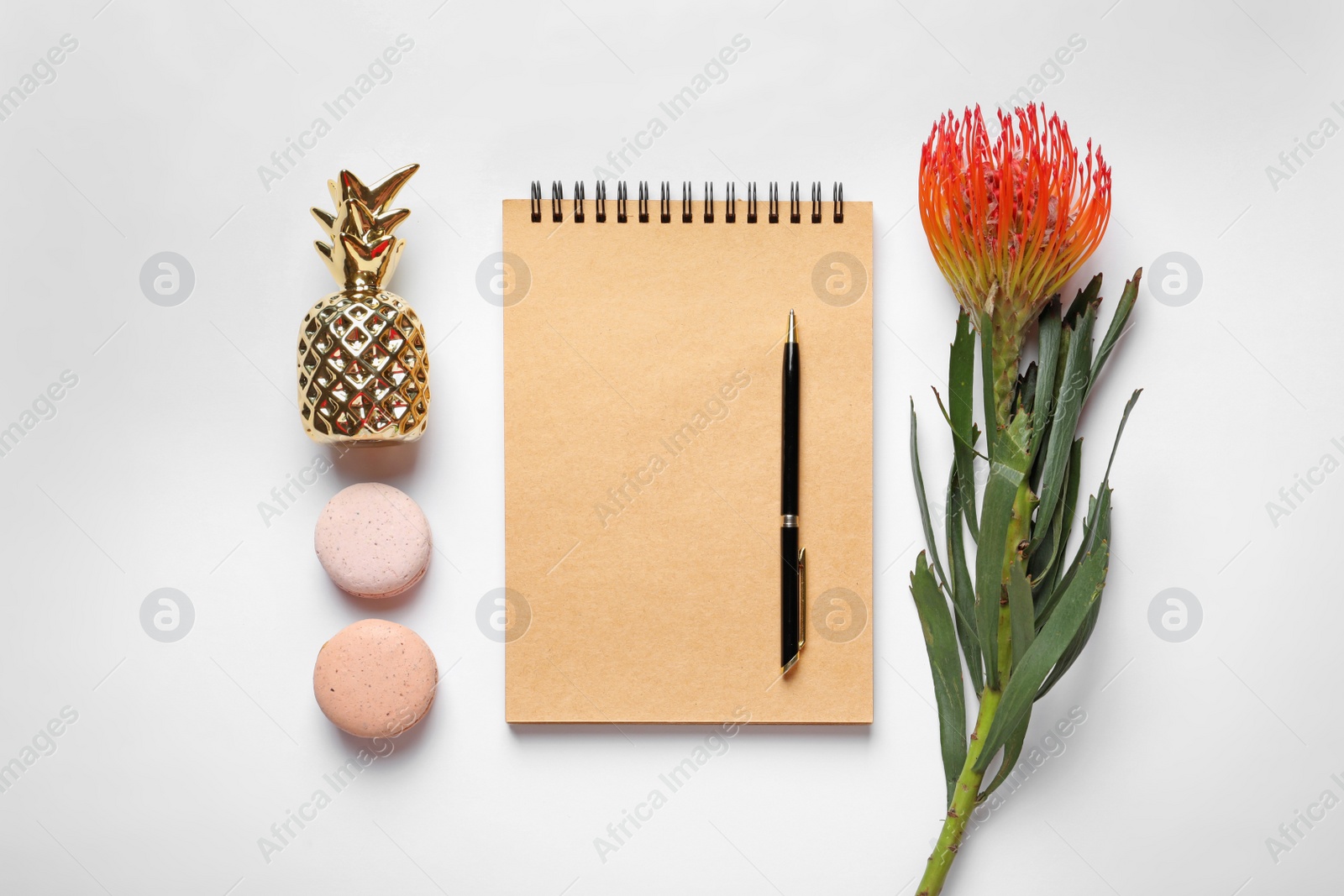 Photo of Creative flat lay composition with tropical flower, notebook and macaroons on white background