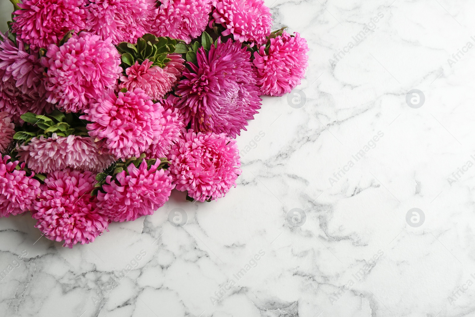 Photo of Beautiful asters and space for text on white marble background. Autumn flowers