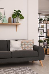 Photo of Modern living room interior with comfortable sofa and beautiful plants