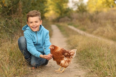 Photo of Farm animal. Cute little boy feeding chicken in countryside, space for text