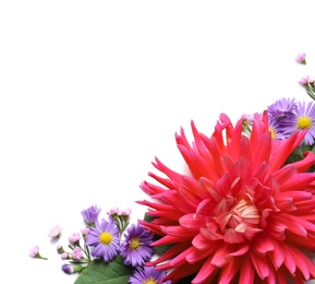 Photo of Flat lay composition with beautiful pink dahlia flower and space for text on white background