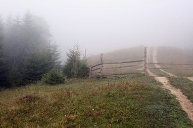 Photo of Wooden fence near forest covered with fog