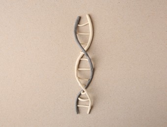 Photo of Plasticine modelDNA molecular chain on beige background, top view