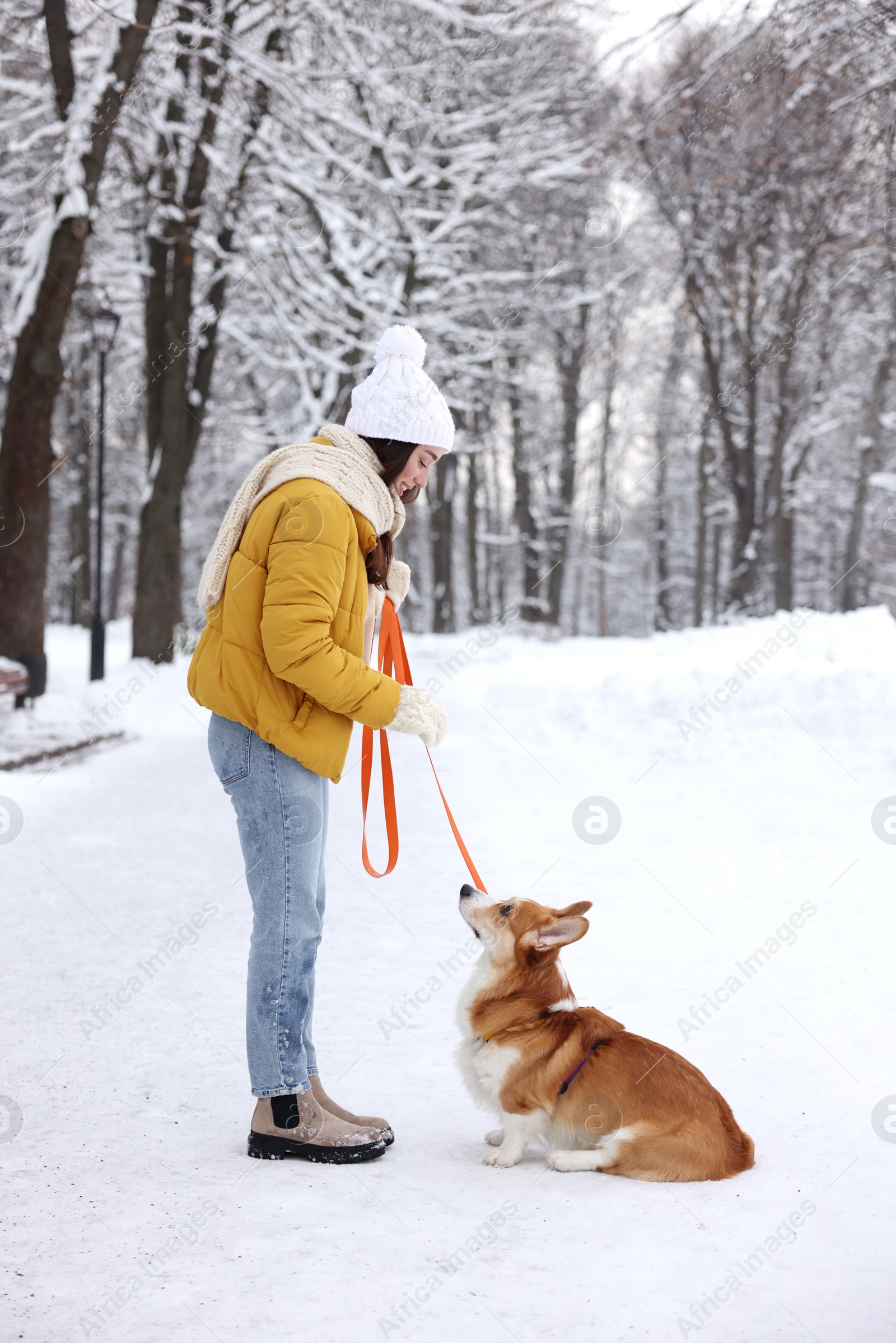 Photo of Woman with adorable Pembroke Welsh Corgi dog in snowy park