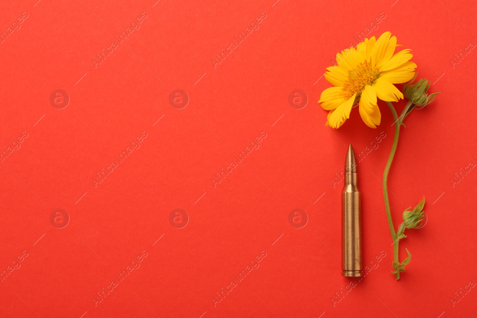 Photo of Bullet and beautiful flower on red background, flat lay. Space for text
