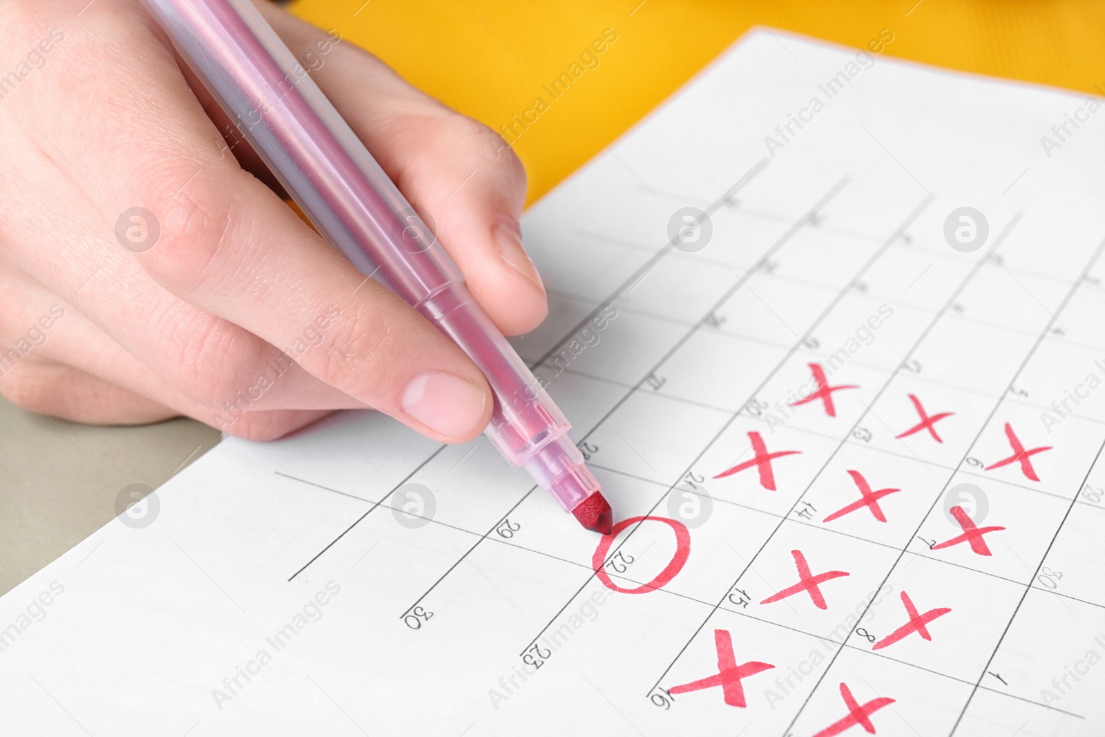 Photo of Woman marking date in calendar with red felt pen, closeup