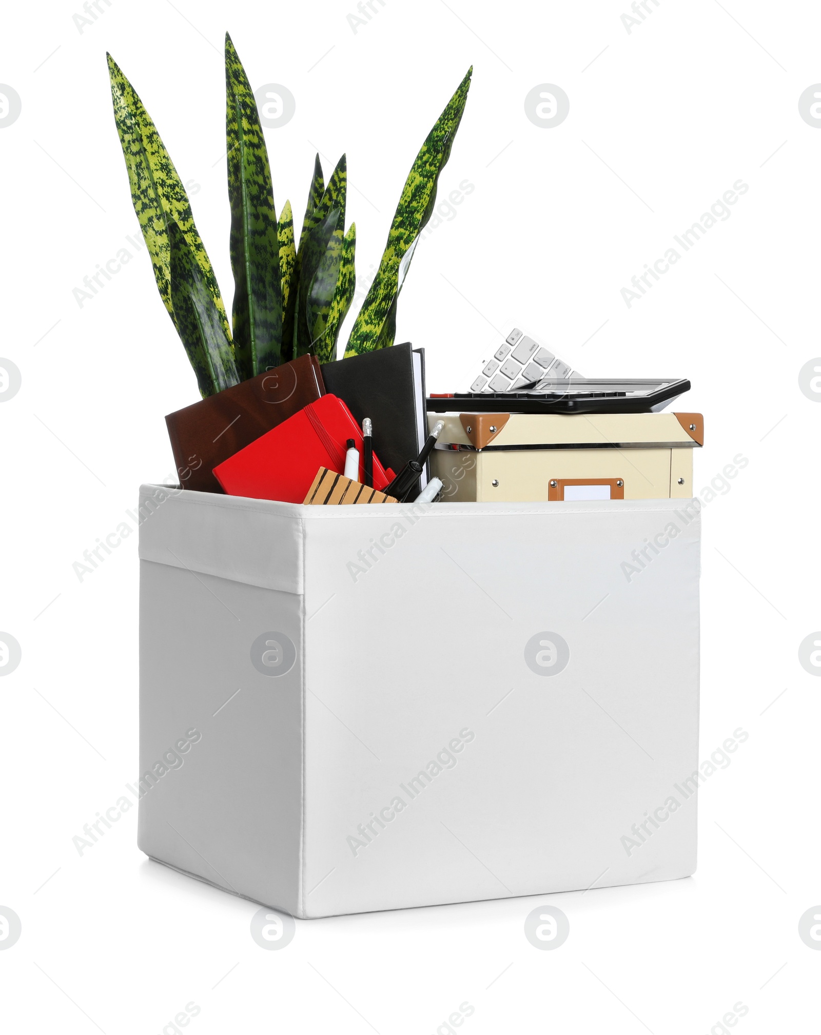 Photo of Moving box with stuff isolated on white. Work promotion concept