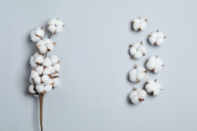 Photo of Beautiful cotton branch and fluffy flowers on light grey background, flat lay. Space for text