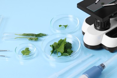 Photo of Food Quality Control. Microscope, petri dishes with parsley and other laboratory equipment on light blue table