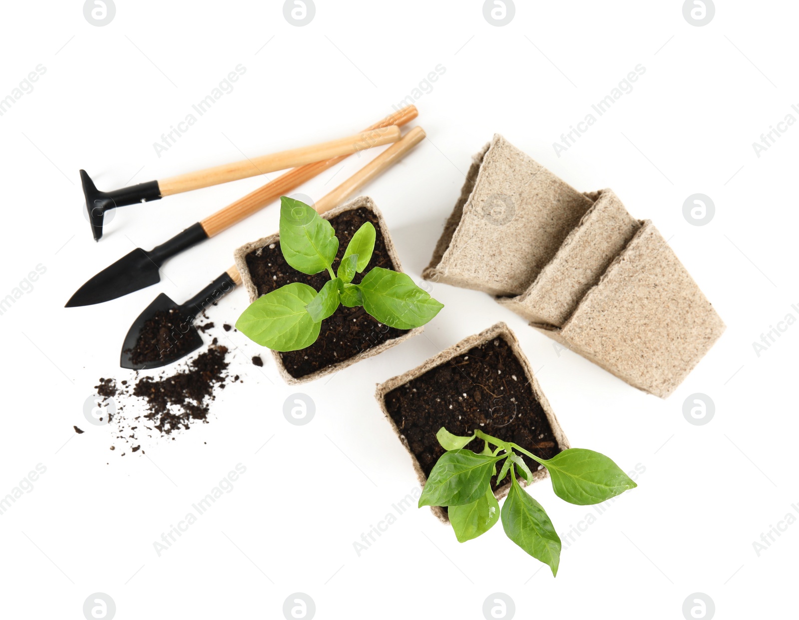 Photo of Vegetable seedlings and garden tools isolated on white, top view