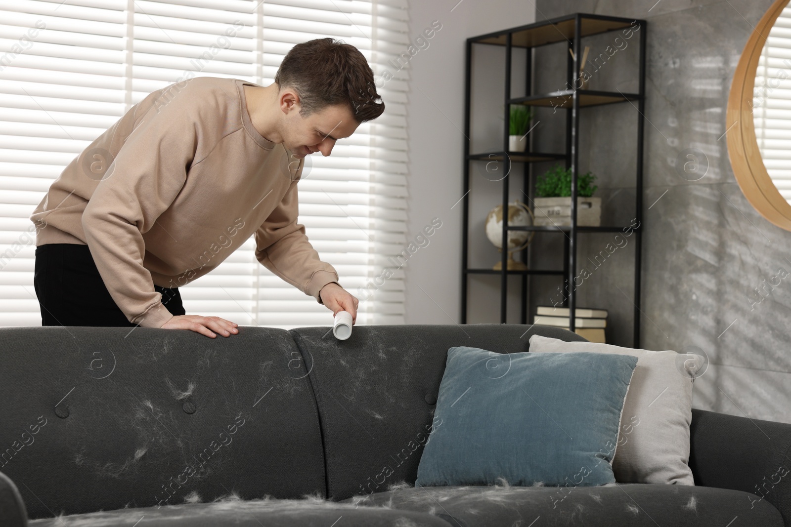 Photo of Pet shedding. Smiling man with lint roller removing dog's hair from sofa at home