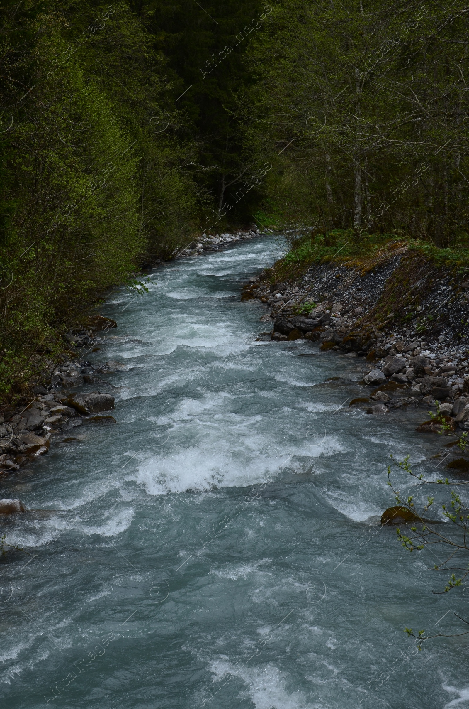 Photo of Beautiful view of river flowing among forest in mountains