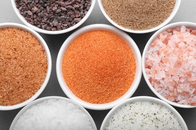 Photo of Different kinds of salt on light grey table, flat lay