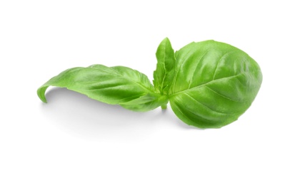 Photo of Fresh green basil leaves on white background