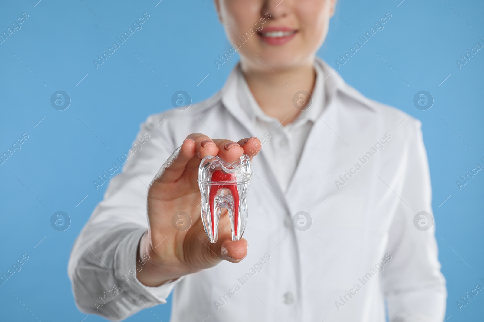 Photo of Dental assistant holding tooth model on light blue background, closeup