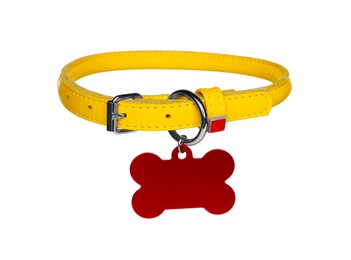 Yellow leather dog collar with bone shaped tag isolated on white