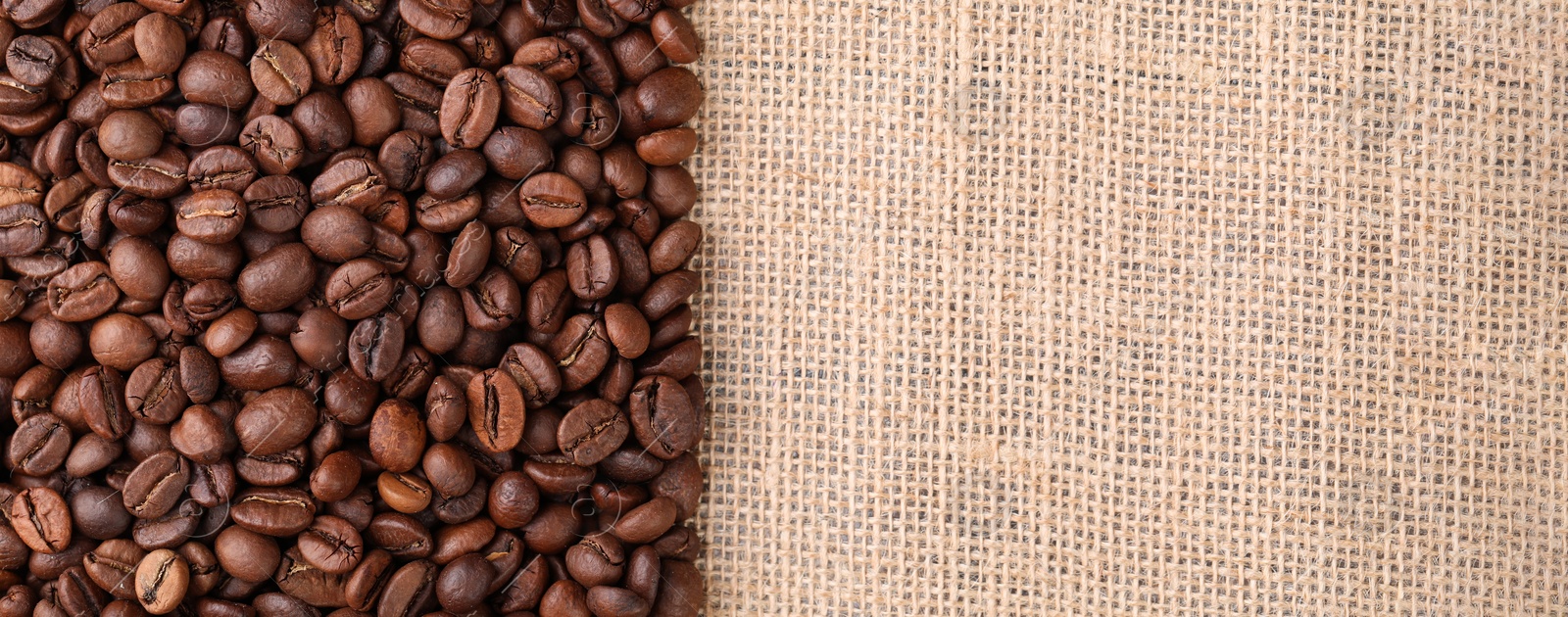 Photo of Many coffee beans on burlap fabric, top view. Space for text