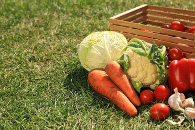 Different tasty vegetables and wooden crate on green grass, space for text