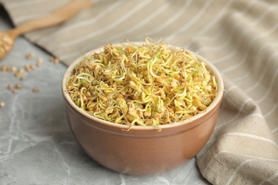 Photo of Bowl of sprouted green buckwheat on light grey table