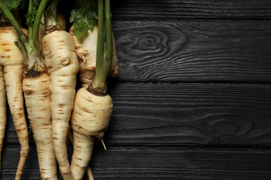 Photo of Tasty fresh ripe parsnips on black wooden table, flat lay. Space for text