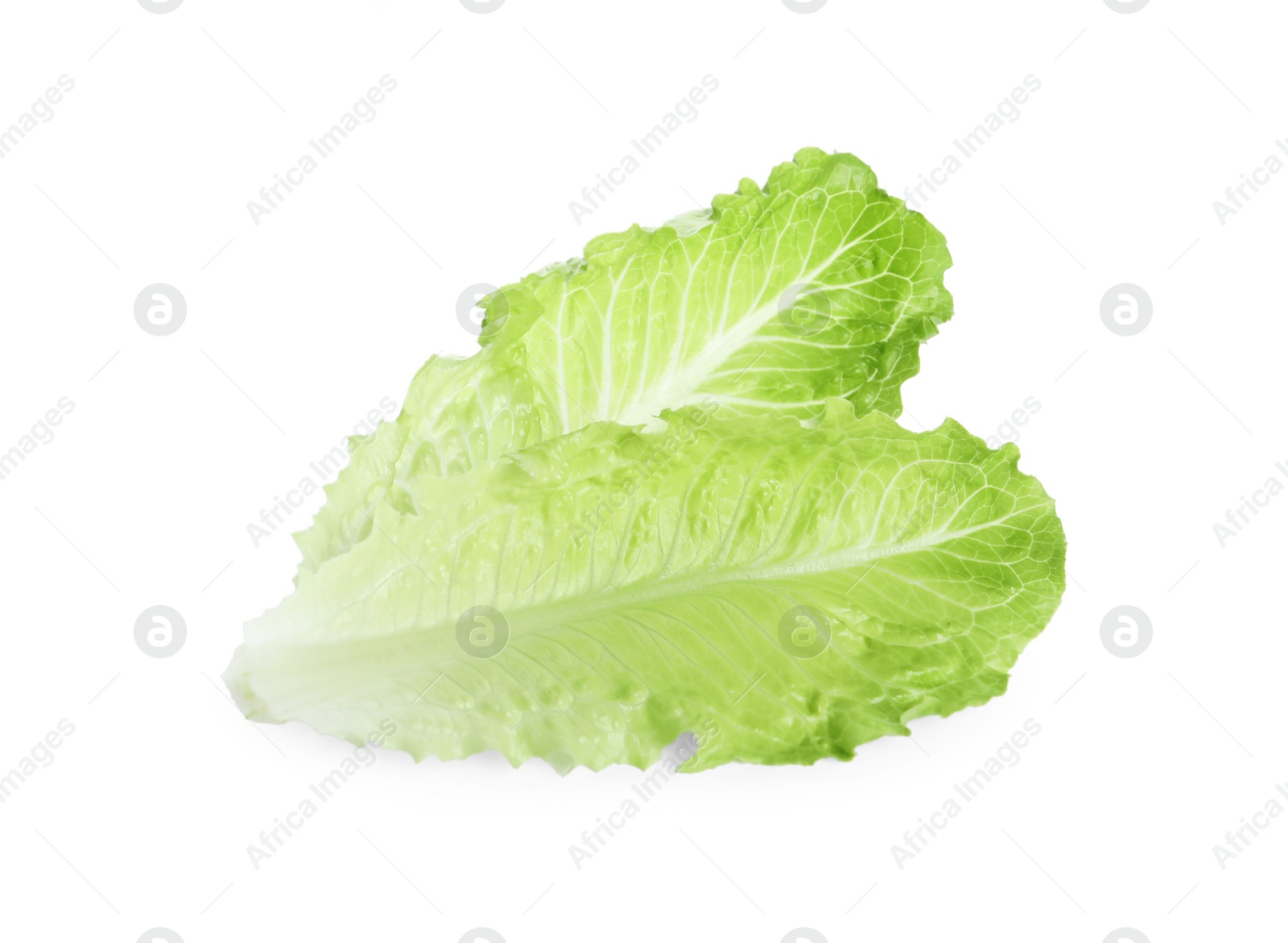 Photo of Fresh green leaves of romaine lettuce isolated on white