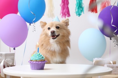 Photo of Cute dog wearing party hat at table with delicious birthday cupcake in decorated room