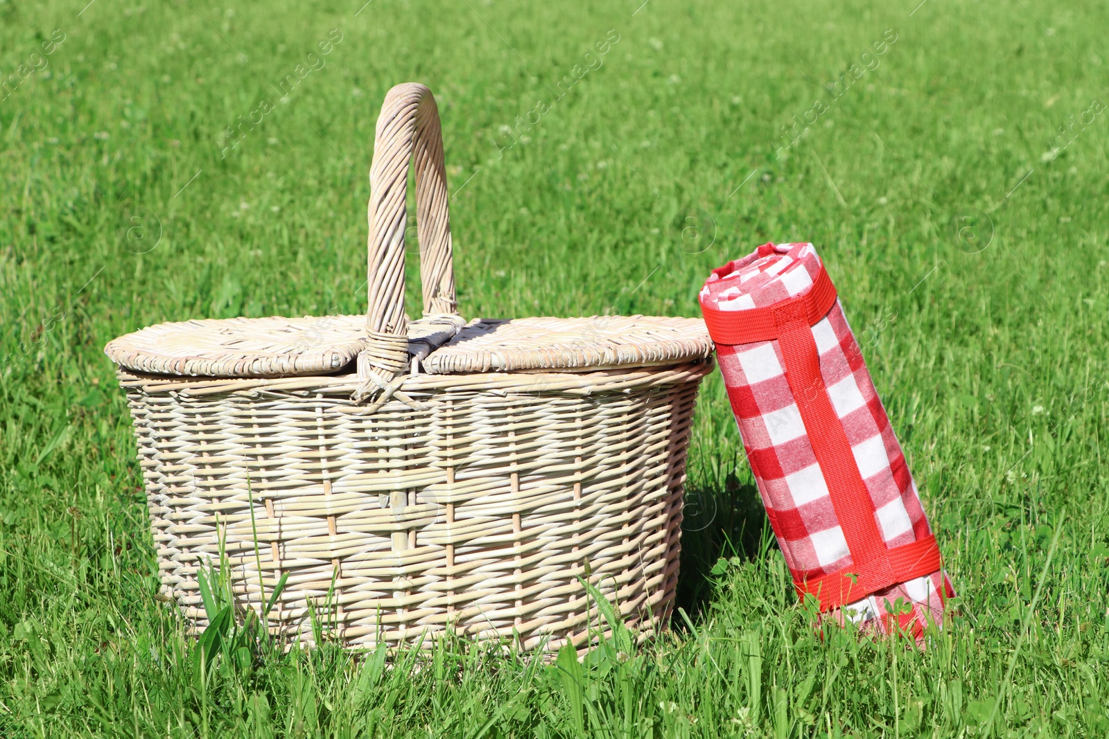 Photo of Rolled checkered tablecloth near picnic basket on green grass outdoors