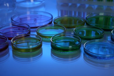 Photo of Petri dishes with different colorful samples on table, toned in blue