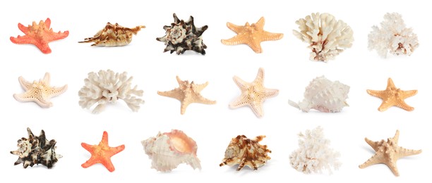 Set with sea stars, shells and corals isolated on white