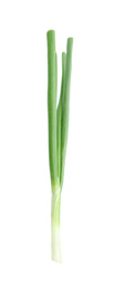 Fresh green spring onion isolated on white