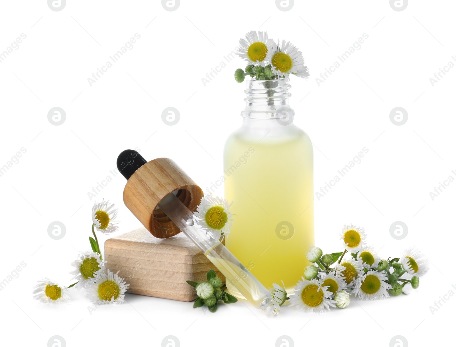 Photo of Bottle of chamomile essential oil and flowers on white background