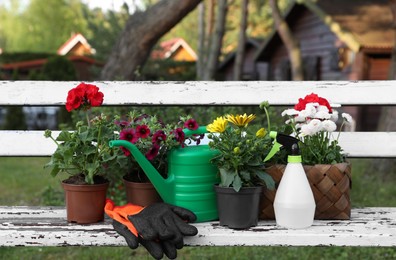 Photo of Beautiful blooming flowers, watering can, gloves and spray bottle on white wooden bench outdoors