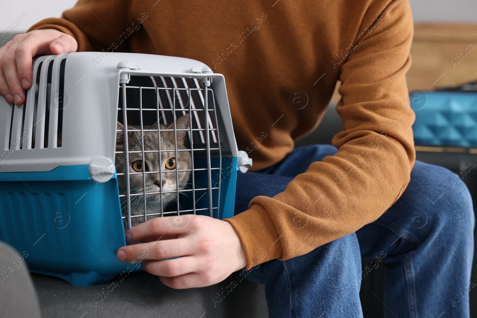 Photo of Travel with pet. Man closing carrier with cat on sofa indoors, closeup