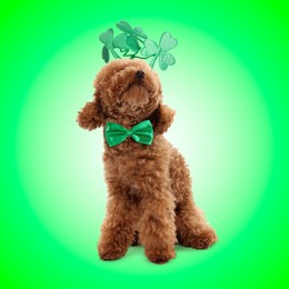 Image of St. Patrick's day celebration. Cute Maltipoo dog wearing headband with clover leaves and bow tie on green background