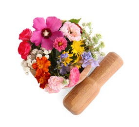 Photo of Wooden mortar with different flowers and pestle on white background, top view
