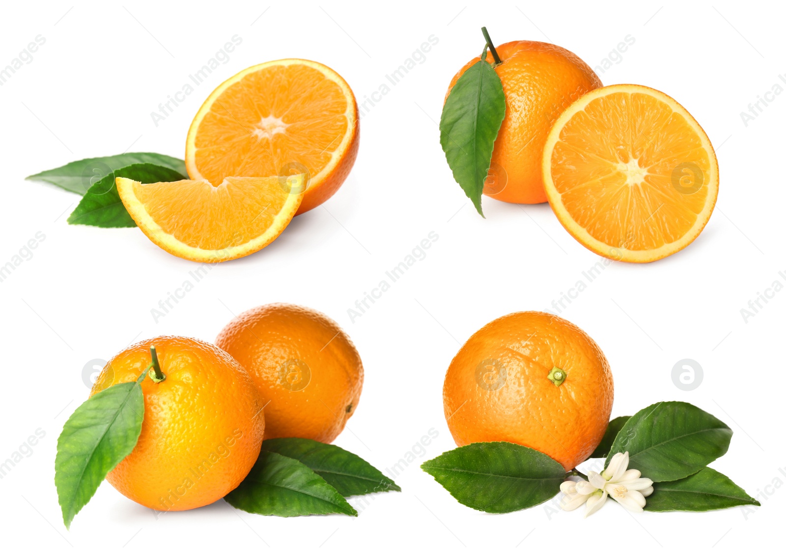 Image of Set with tasty ripe oranges on white background