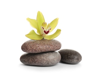 Photo of Spa stones with beautiful orchid flower on white background