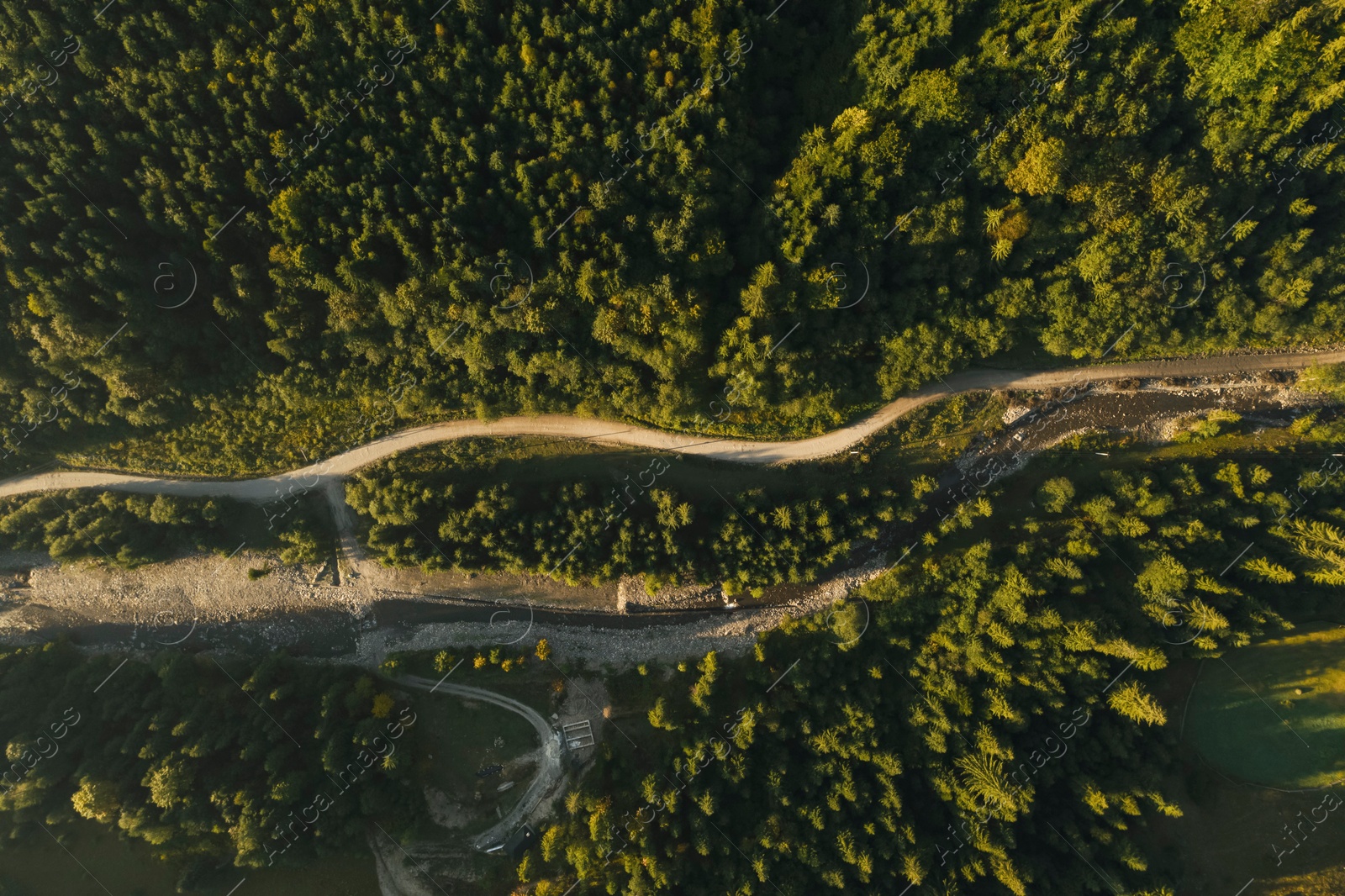 Image of Aerial view of river along road among green trees. Drone photography