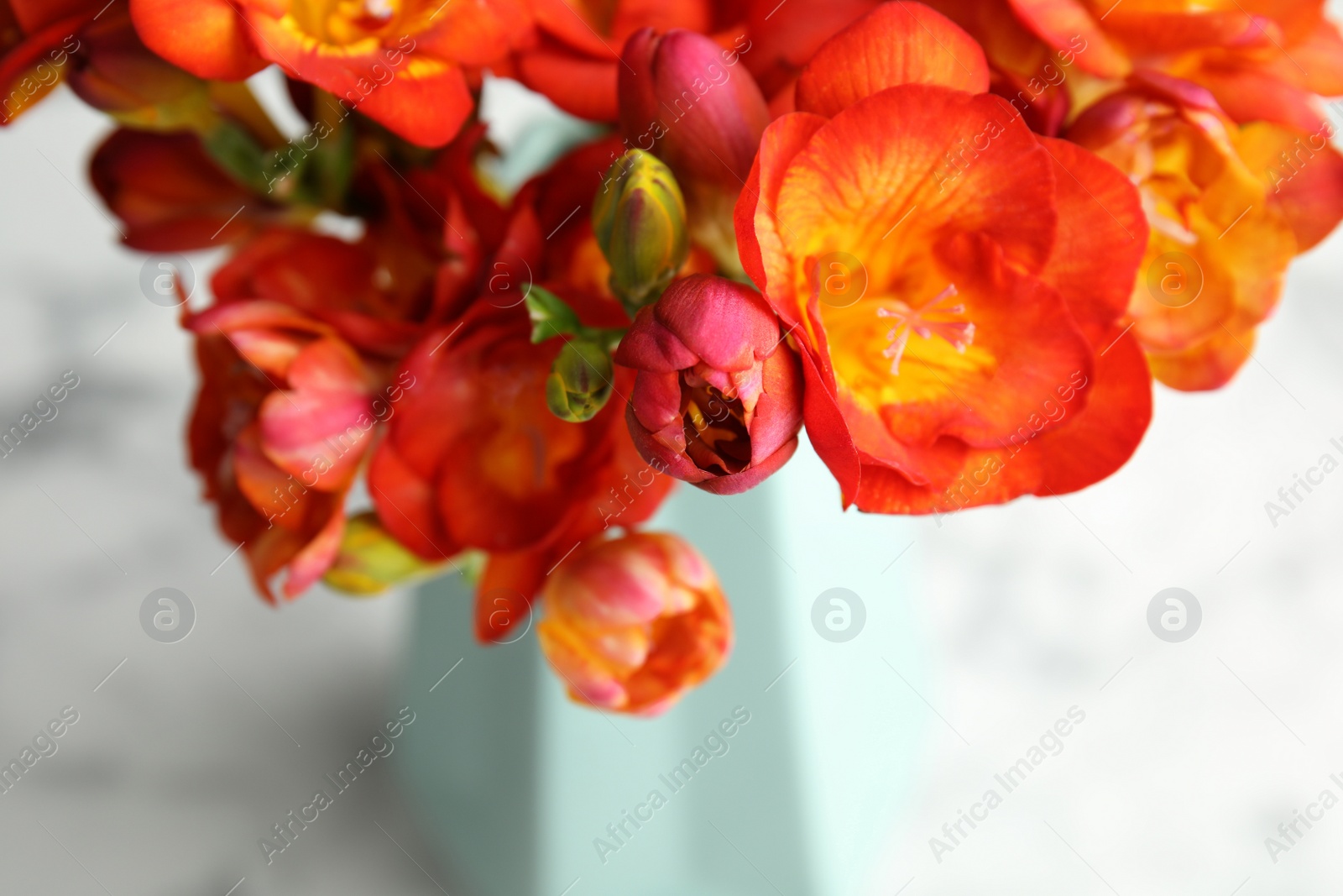 Photo of Bouquet of spring freesia flowers on table, closeup