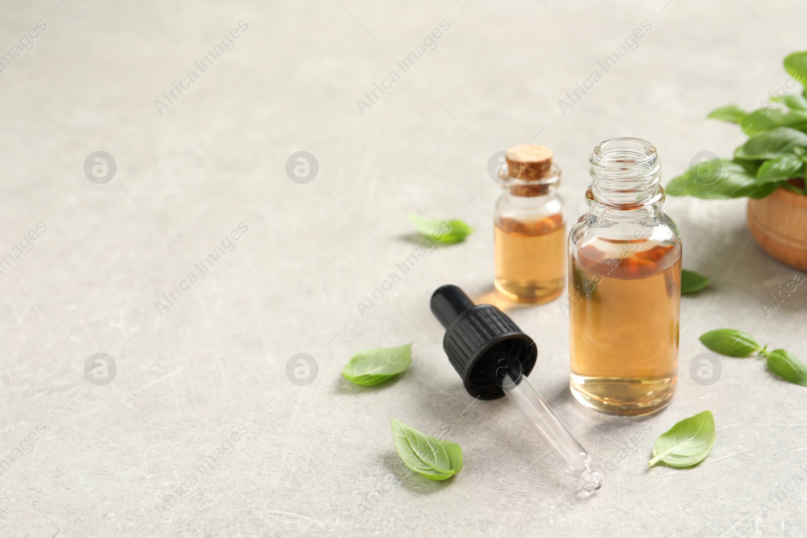 Photo of Bottles of essential basil oil and fresh leaves on light grey table, space for text