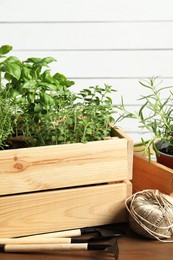 Photo of Crate with different potted herbs and gardening tools on wooden table, closeup