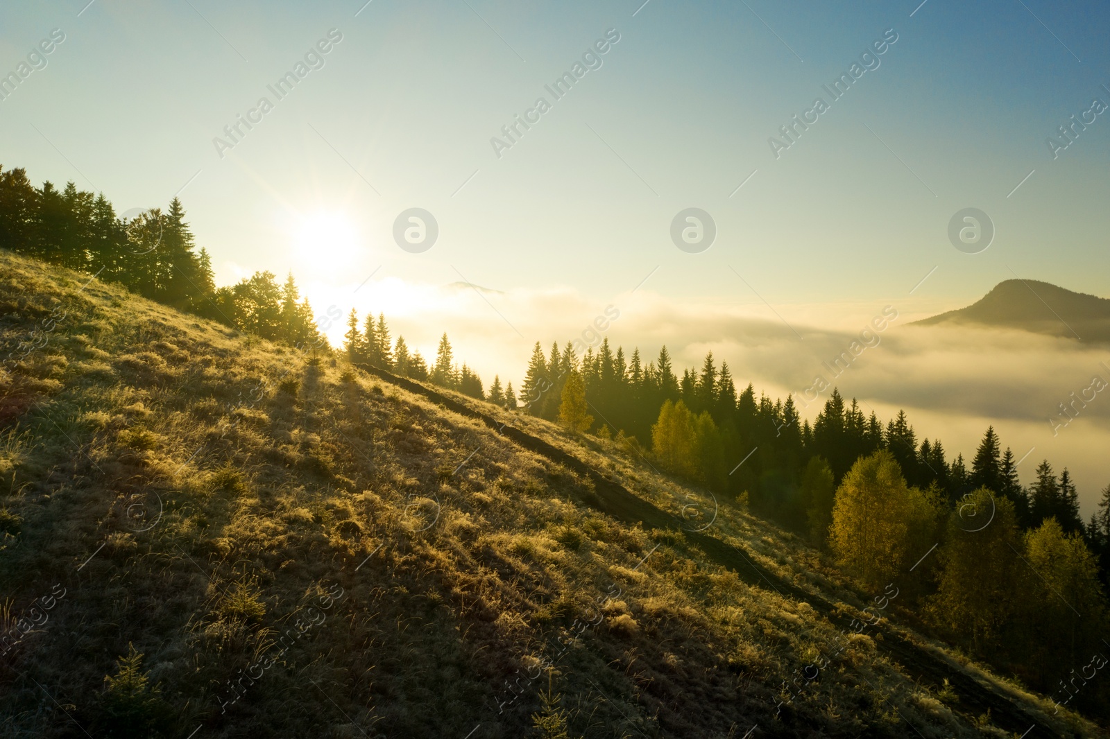 Image of Sun shining over slope covered with hoarfrost in misty mountains. Drone photography