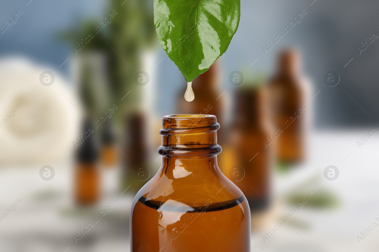 Image of Essential oil dripping from green leaf into bottle against blurred background 